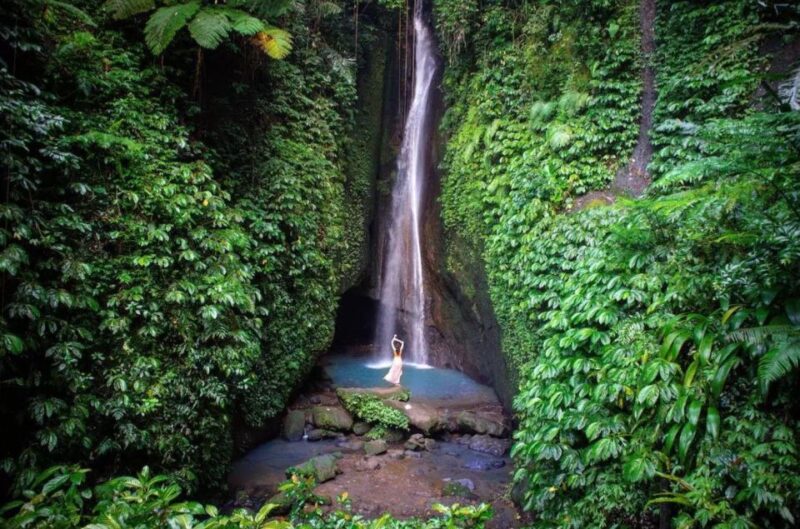 Bali: Private Custom Tours With Chauffeur Services - Inclusions and Exclusions