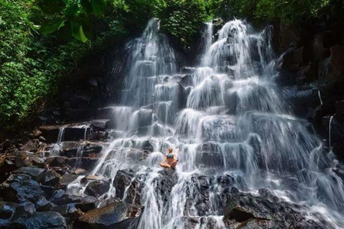 Bali: Private Custom Tours With Chauffeur Services - Language Availability