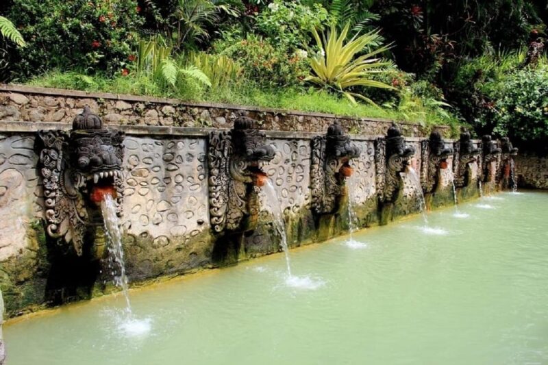 Bali: Private Customizable Tour With German Speaking Guide - Customer Reviews and Ratings