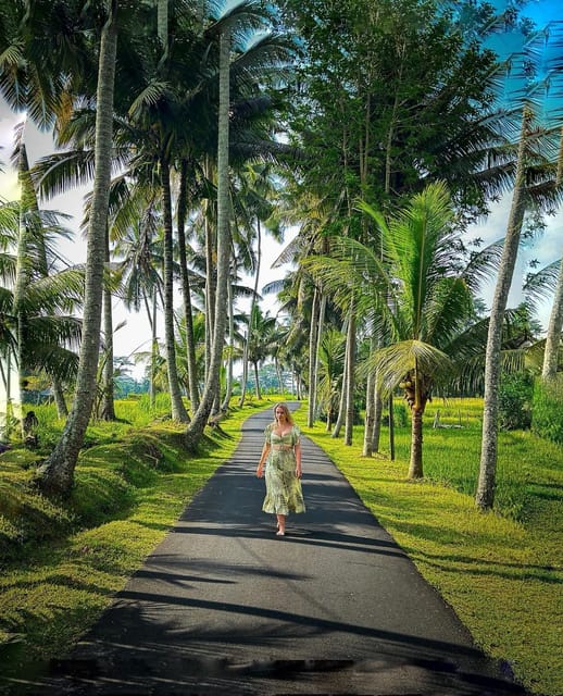 Bali - Private Customized Full Day Tour - Transportation and Pickup