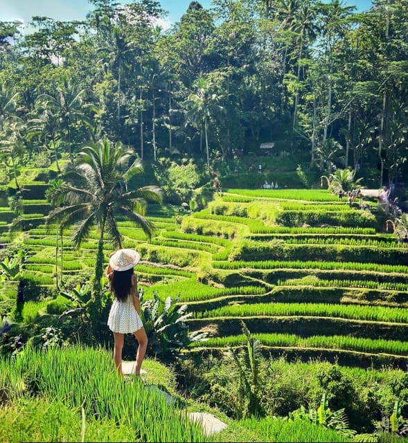 Bali - Private Customized Full Day Tour - Frequently Asked Questions
