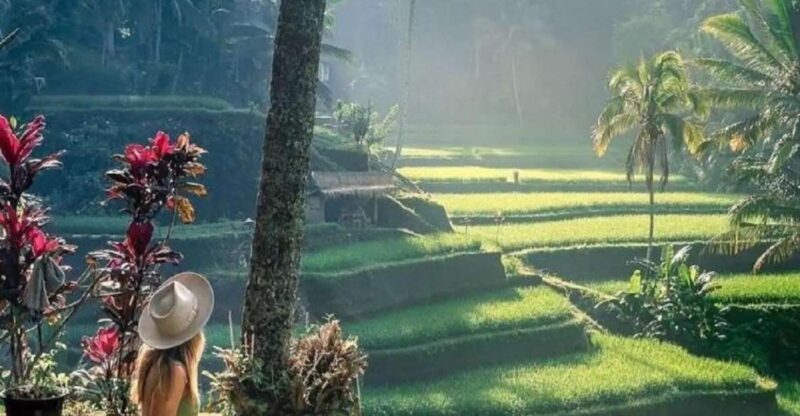 Bali: Private Customized Full-Day Tour - Key Points