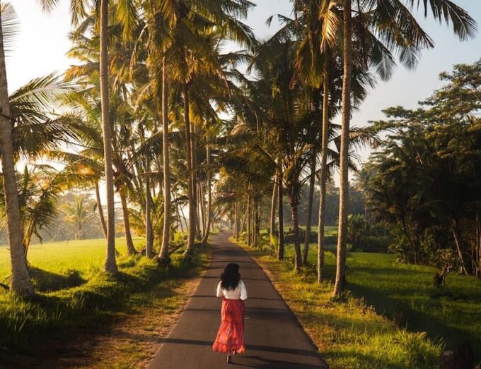 Bali Private Customized Tour - Guided Tour - Hotel Pickup and Drop-off