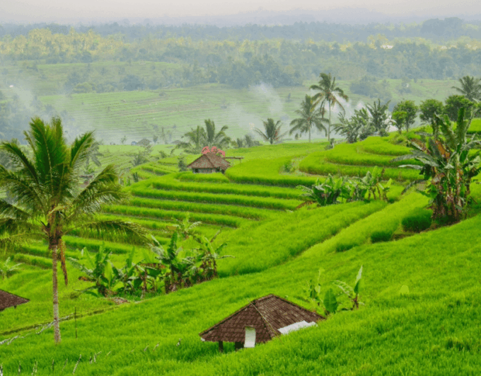 Bali: Private Day North Bali Waterfall Tour - Ulun Danu Bratan Temple