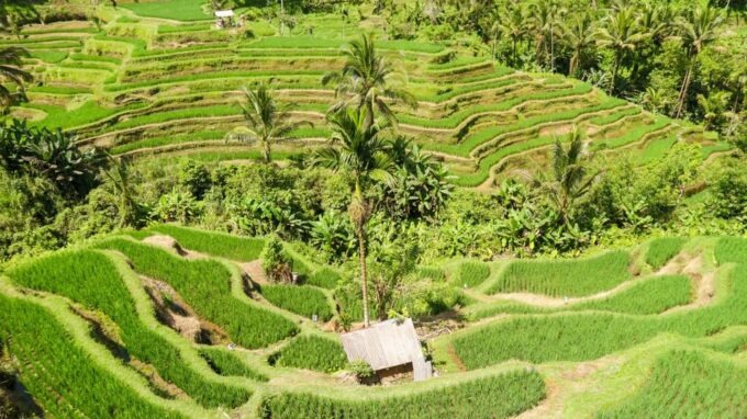 Bali: Private Day Tour by Car With Choice of Destinations - Frequently Asked Questions