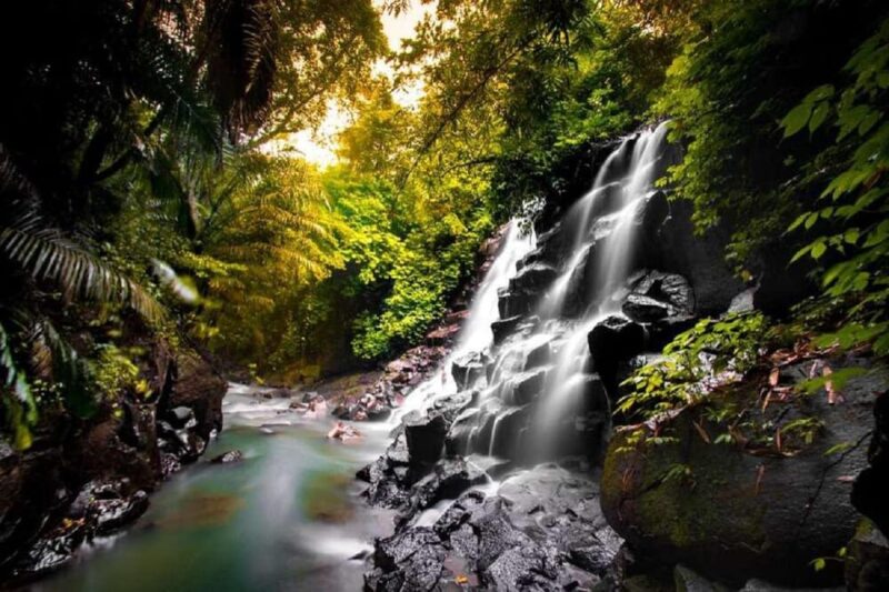 Bali: Private Day Tour in Ubud Hotel Pick Up Included - Included and Excluded