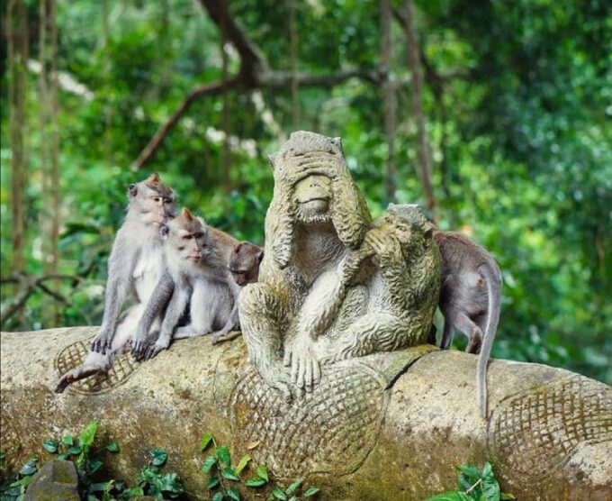 Bali: Private Day Tour in Ubud Hotel Pick Up Included - Frequently Asked Questions