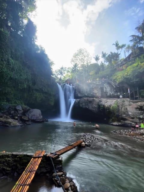 Bali: Private Day Trip With Monkey Forest and Jungle Swing - Key Points