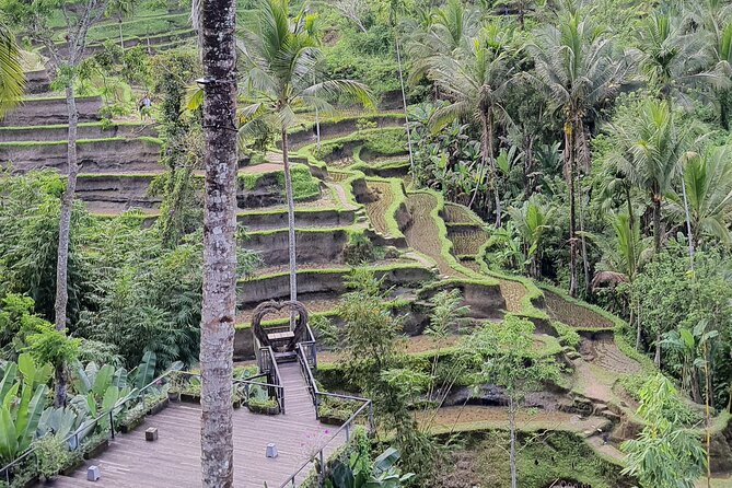 Bali Private Driver and Car for Customize Tours - Overview and Rating