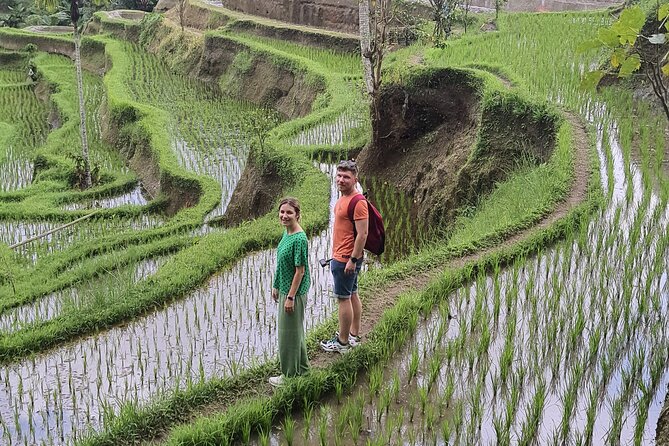 Bali Private Driver and Car for Customize Tours - Pricing and Inclusions