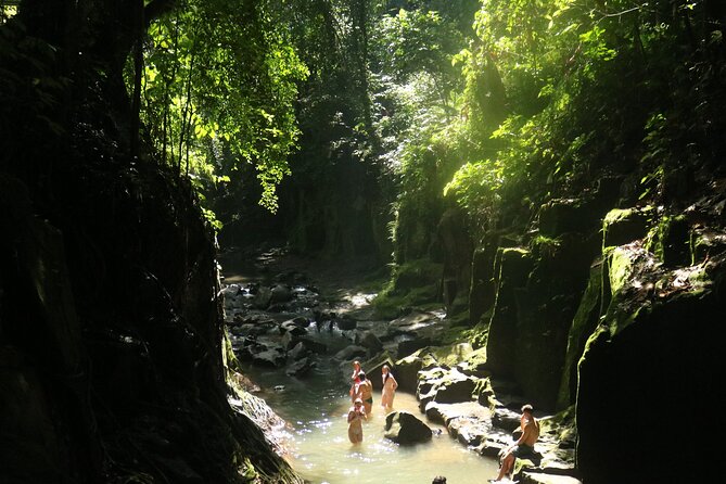 Bali Private Full Day Tour to Visit the Best Waterfalls and Swing Near Ubud - Additional Waterfall Experiences