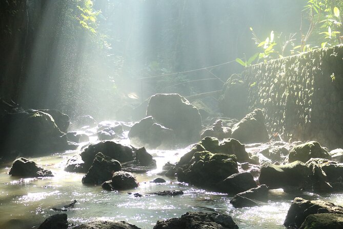 Bali Private Full Day Tour to Visit the Best Waterfalls and Swing Near Ubud - Pickup and Transportation Details