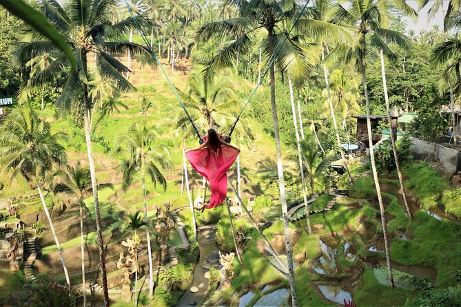 Bali Private Full Day Tour to Visit the Best Waterfalls and Swing Near Ubud - Booking and Cancellation Policy