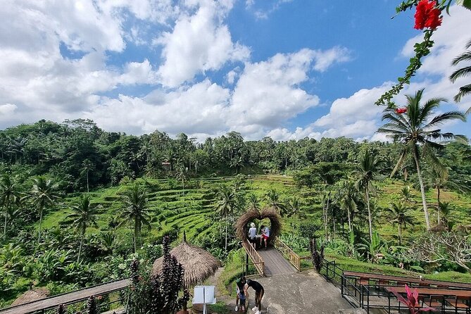 Bali Private Inclusive Tour: Best of Ubud in a Day - Customizing Your Experience