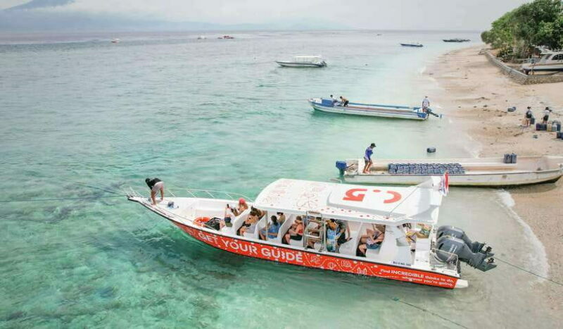 Bali: Private Snorkeling at Manta Point Nusa Penida - Key Points