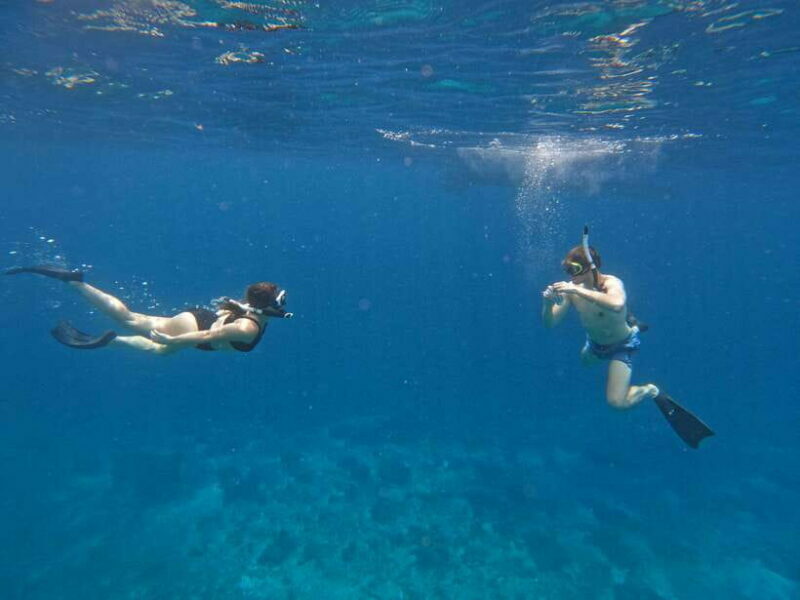 Bali: Private Snorkeling at Manta Point Nusa Penida - Authentic Experiences & Reviews