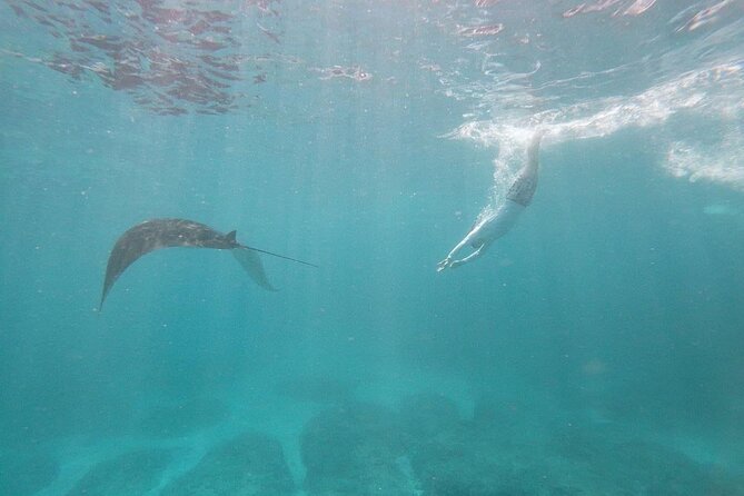 Bali Private Snorkeling (Manta, Sea Cucumber, Crystal) and Nusa Penida Tour - Inclusions