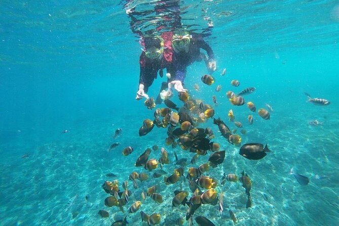 Bali Private Snorkeling (Manta, Sea Cucumber, Crystal) and Nusa Penida Tour - Iconic Photo Spots