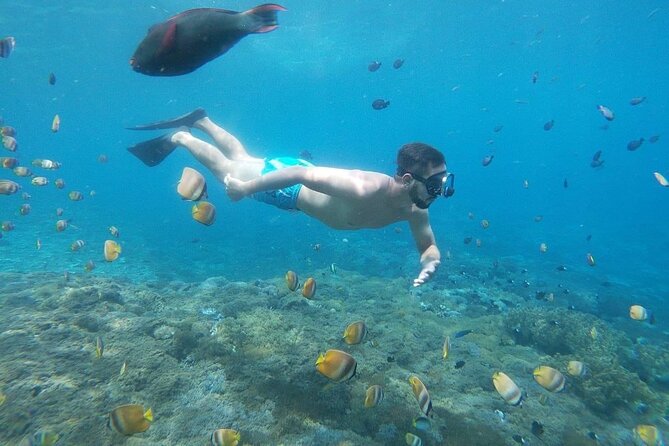 Bali Private Snorkeling (Manta, Sea Cucumber, Crystal) and Nusa Penida Tour - Snorkeling Highlights