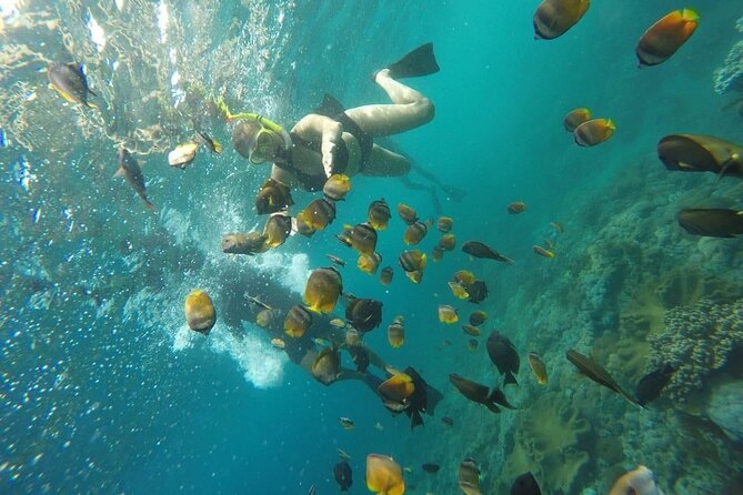 Bali Private Snorkeling (Manta, Sea Cucumber, Crystal) and Nusa Penida Tour - Tour Accessibility