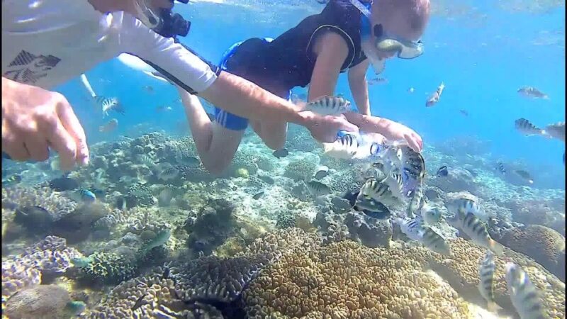 Bali: Private Snorkeling To Blue Lagoon And Tanjung Jepun - Itinerary and Highlights