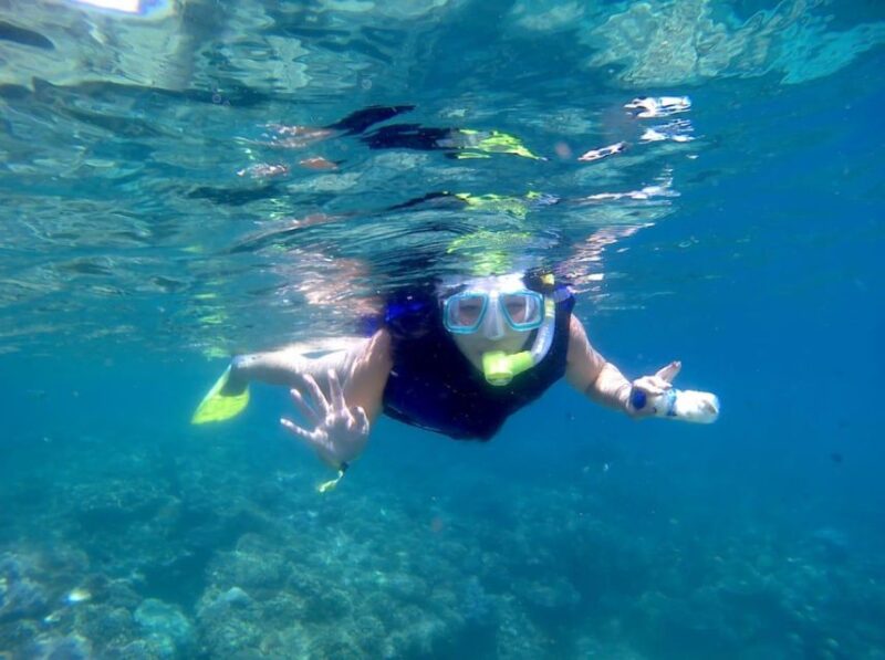 Bali: Private Snorkeling To Blue Lagoon And Tanjung Jepun - Customer Feedback