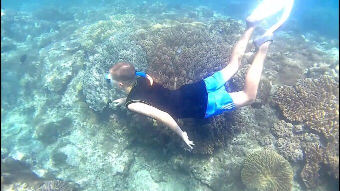 Bali: Private Snorkeling To Blue Lagoon And Tanjung Jepun - Meeting Location and Transportation