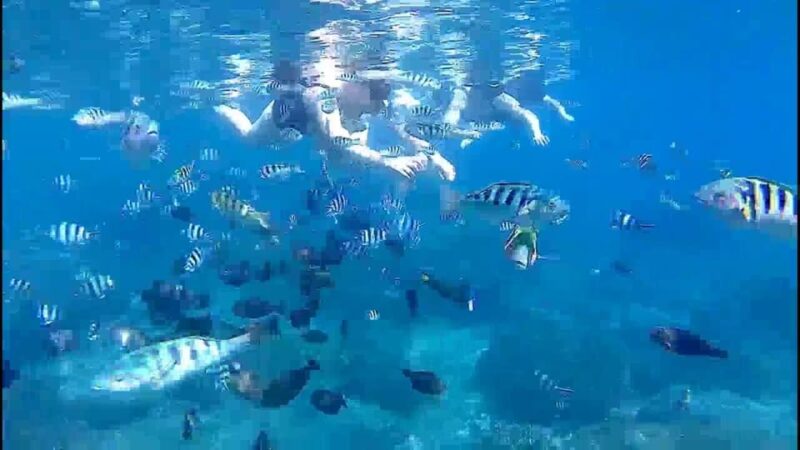 Bali: Private Snorkeling With Blue Lagoon Snorkeling - Pricing and Reservations