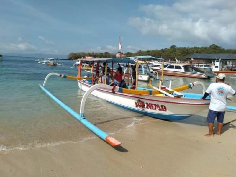 Bali: Private Snorkeling With Blue Lagoon Snorkeling - Transportation and Meeting Point