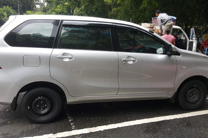 Bali Private Tour - Car With Driver - Customizing Your Experience