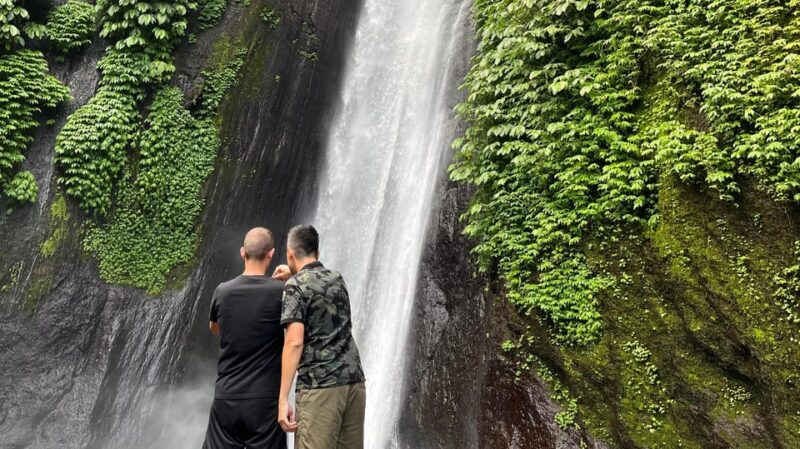 Bali: Private Tour Highlights of Bali With Driver - Key Points