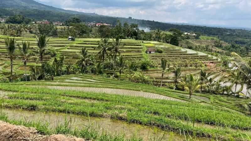 Bali: Private Tour Highlights of Bali With Driver - Itinerary and Highlights