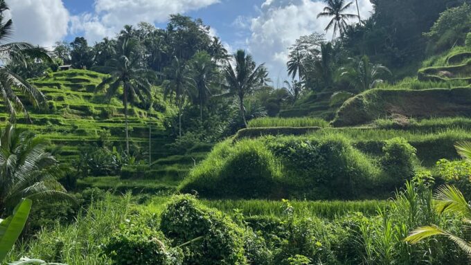 Bali: Private Tour Highlights of Bali With Driver - Convenient Pickup Locations