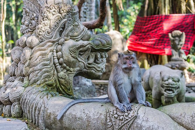 Bali Private Tour Ubud and Kintamani Including Lunch and Waterfall - Pricing and Booking