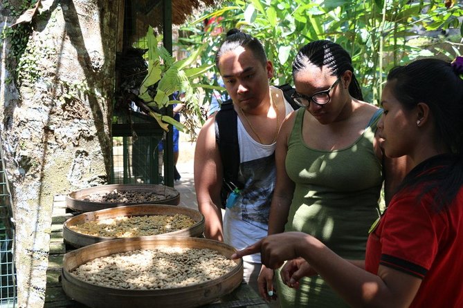 Bali Private Tour Ubud and Kintamani Including Lunch and Waterfall - Lunch and Beverages