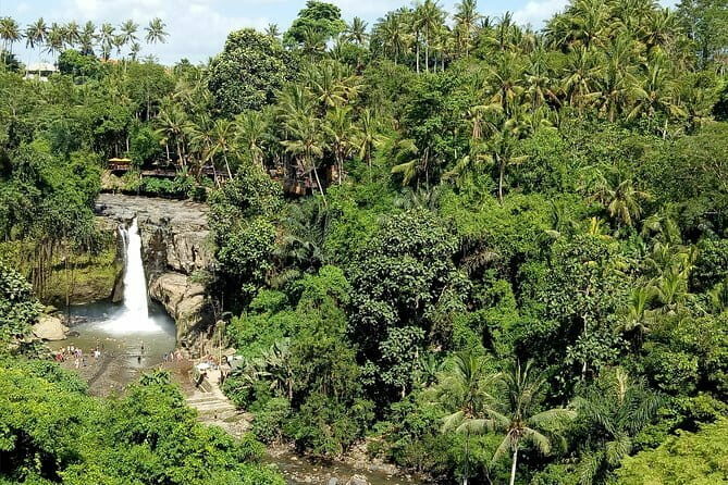 Bali Private Tour: Waterfall, Monkey forest and Tanah lot sunset - An In-Depth Look at the Tour Experience