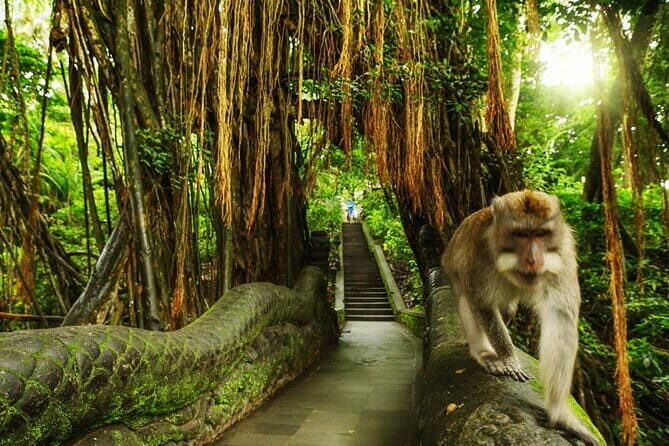 Bali Private Tour: Waterfall, Monkey forest and Tanah lot sunset - Practical Considerations