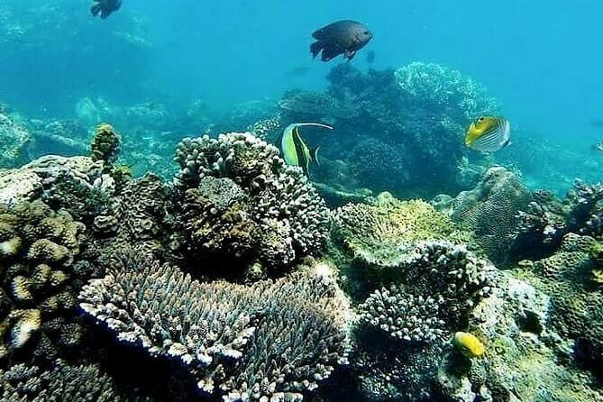 Bali Private Tour: Waterfall, Monkey forest and Tanah lot sunset - Final Thoughts: Who Will Love This Tour?