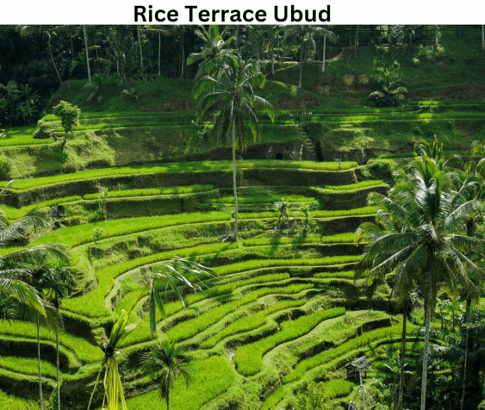 Bali: Private Transfer From Ubud to Airport - Frequently Asked Questions