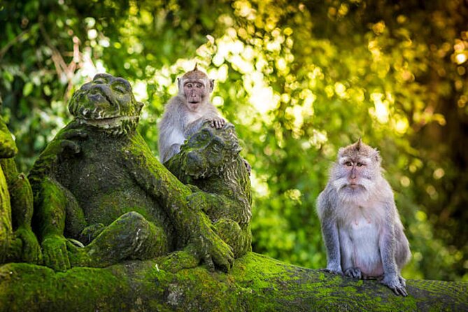 Bali Private Trip in Your Chosen Route With Driver - Destinations and Attractions