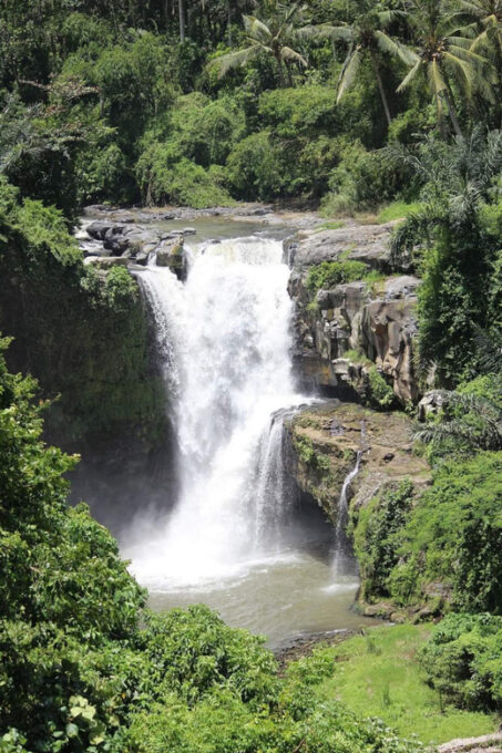 Bali: Private Ubud Waterfalls Tour With Lunch/Entry Option - Customer Feedback