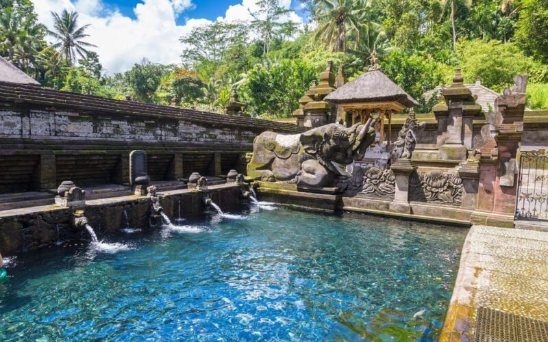 BALI PRIVATE : Waterfalls and Water Temple Tour Rice Terrace - Inclusions