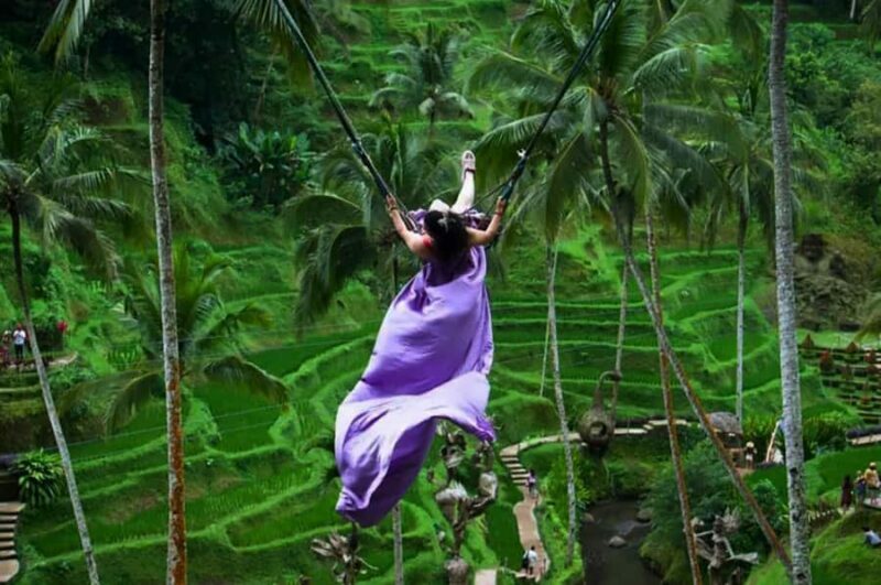 Bali: Private Waterfalls Tour with Hotel Pickup & Drop-off - Discovering Bali’s Hidden Waterfalls