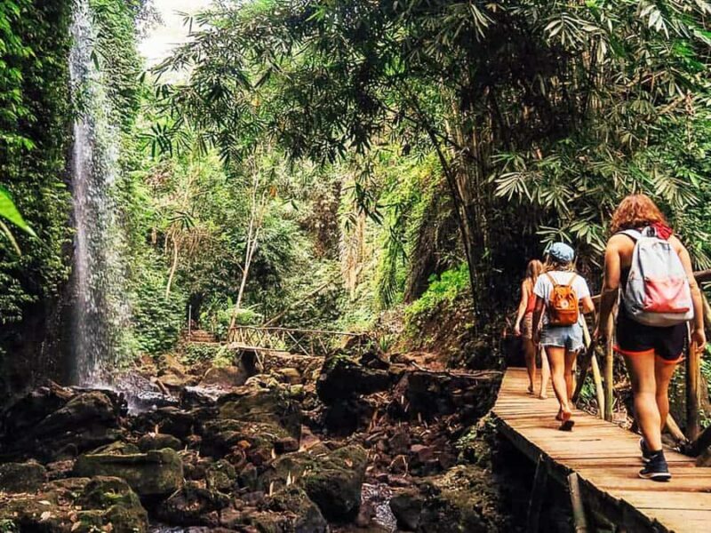 Bali: Private Waterfalls Tour with Hotel Pickup & Drop-off - Who Should Consider This Tour?