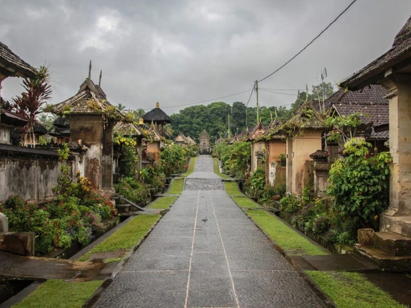 Bali: Professional Photoshoot at Pengelipuran Bamboo Forest. - Additional Services and Inclusions