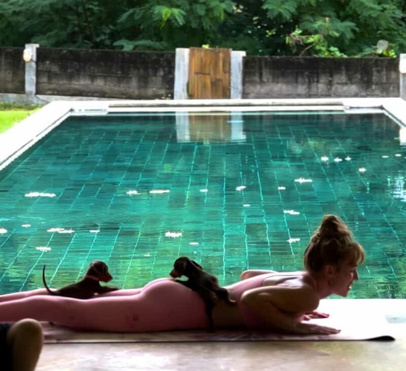 Bali: Puppy Yoga Class - Rescue Puppies & Refreshing Drinks - How the Experience Unfolds