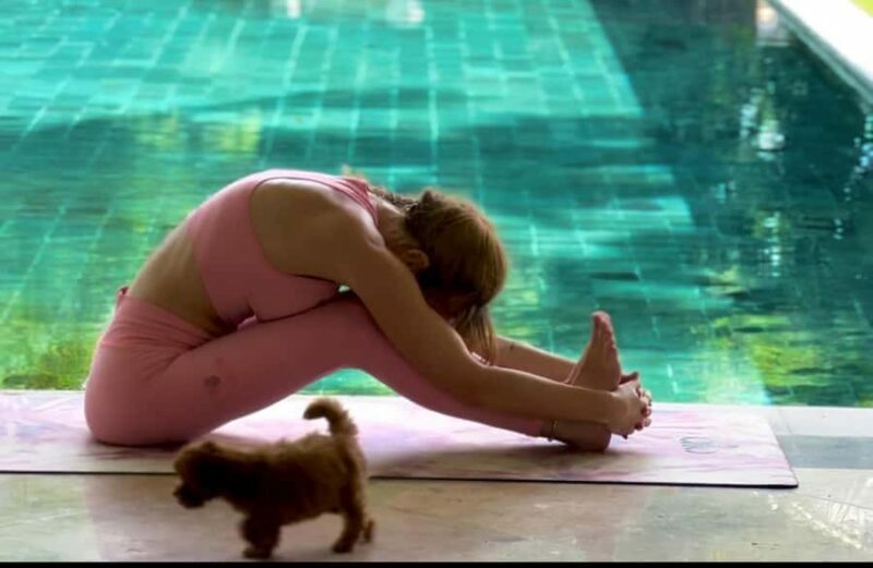Bali: Puppy Yoga Class - Rescue Puppies & Refreshing Drinks - The Sum Up