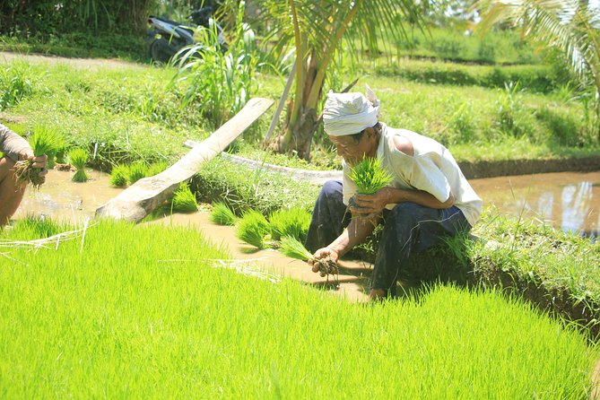 Bali Quad and Buggy Discovery Tour, Including Round-Trip Transfer - Safety and Equipment