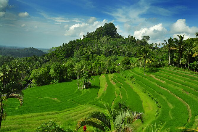 Bali Quad Bike and Besakih Temple Tour : Best Quad Bike Trip - Inclusions