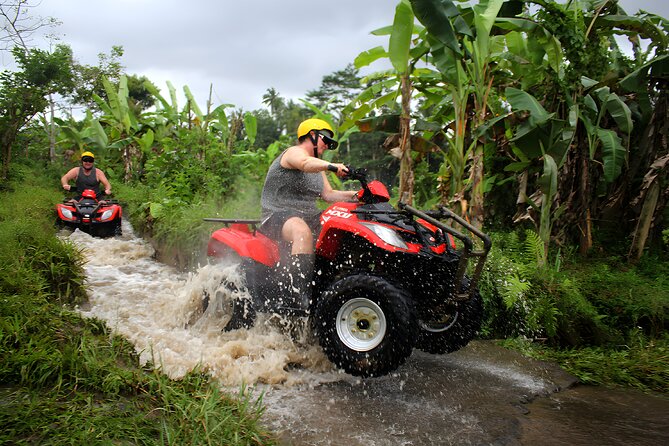 Bali Quad Bike and Swing Packages in Ubud - Vegetarian Option
